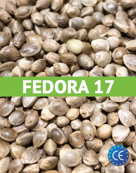 Futura 75 Certificadas (25 kg)