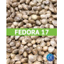 Futura 75 Certificadas (25 kg)