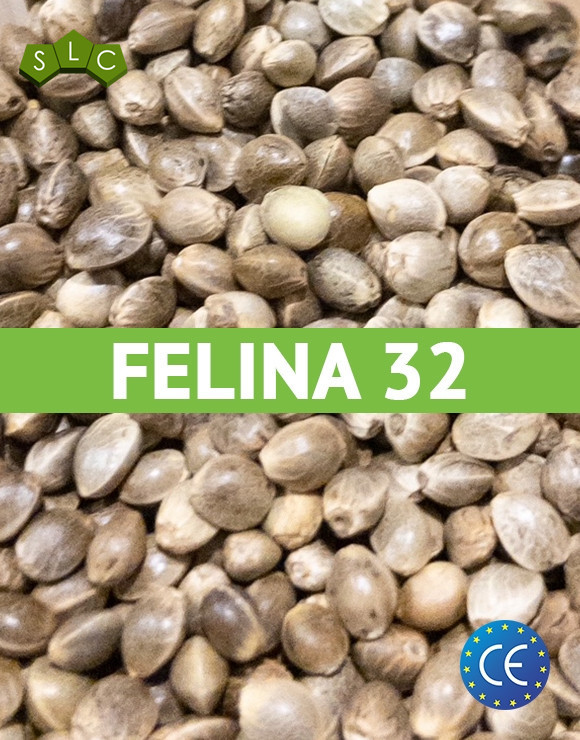 Felina 32 Certificadas (20 kg)