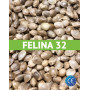 Felina 32 Certificadas (20 kg)