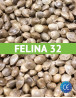 Felina 32 Certificadas (20 kg)