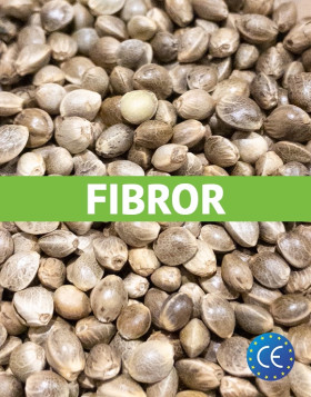 Fibror 79