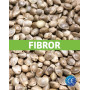 Fibror 79