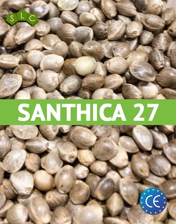 Santhica - Cáñamo certificado