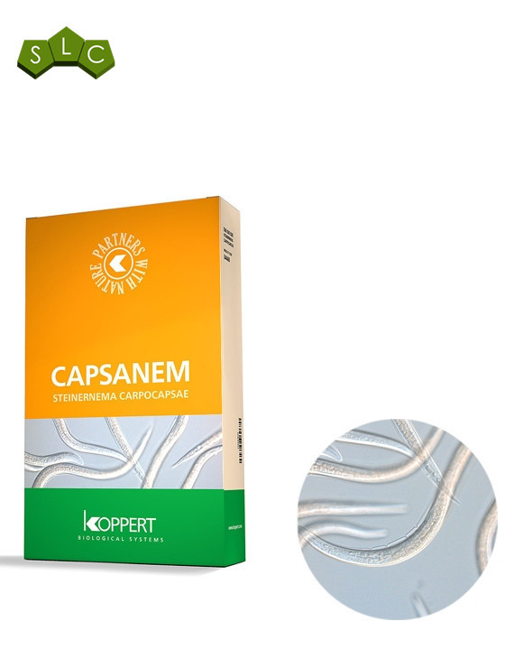 Capsanem 50 ML (2 sobres de 25 Millones)