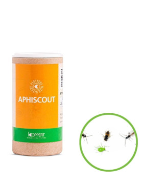 Aphiscout (250 avispas para pulgón)