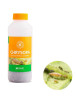 Chrysopa 1000 (Pulgón)
