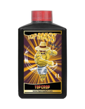 Top Mass