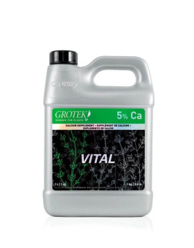 Vital