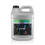 Rype