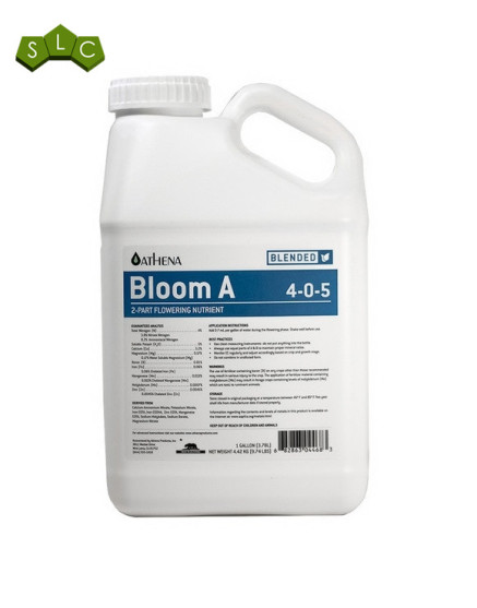 Bloom AB de Athena