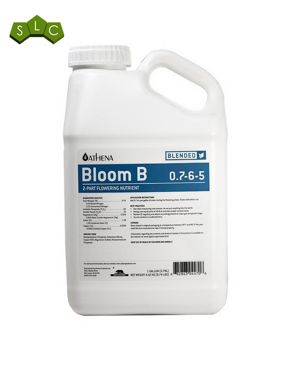 Bloom AB de Athena