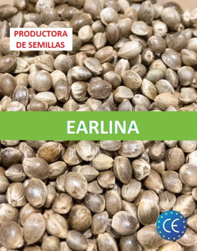 Earlina 8 - Cáñamo certificado