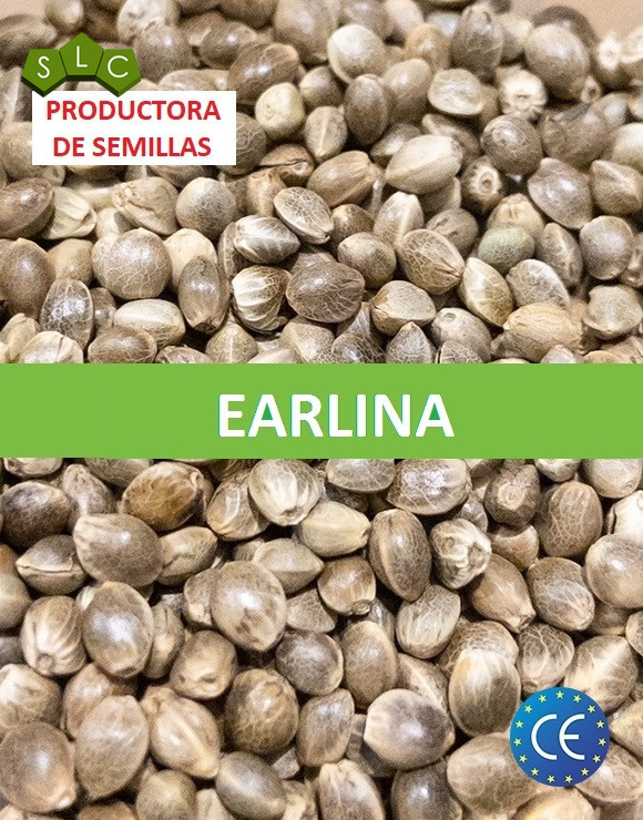 Earlina 8 - Cáñamo certificado