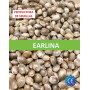 Earlina 8 - Cáñamo certificado