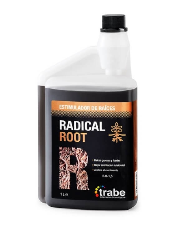 Radical Root de Trabe
