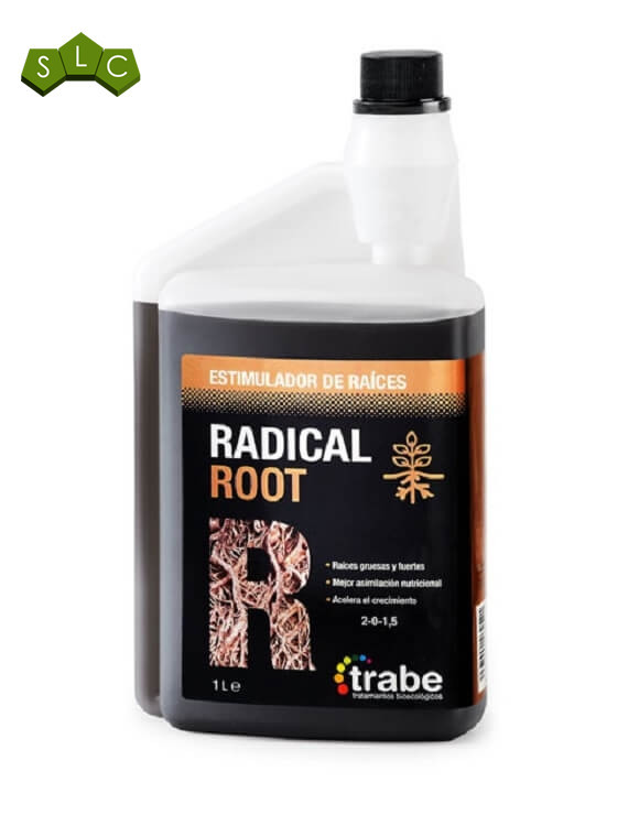 Radical Root de Trabe