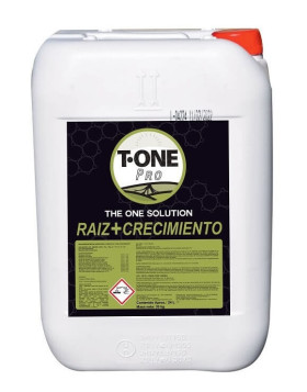 Raiz-Crecimiento de T-ONE