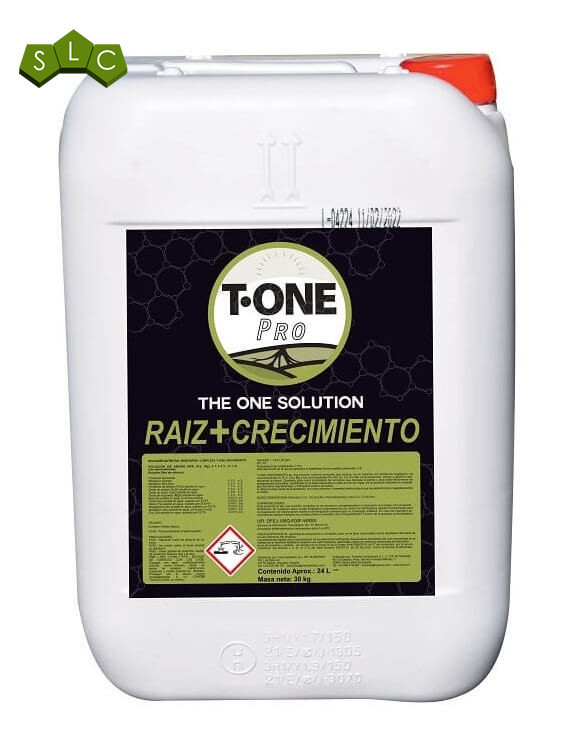 Raiz-Crecimiento de T-ONE