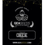 Cheese