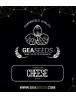 Cheese