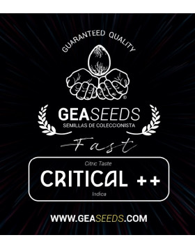 Fast Critical ++