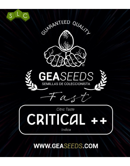 Fast Critical ++