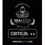 Fast Critical ++