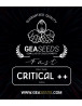 Fast Critical ++