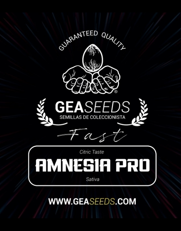 Fast Amnesia Pro