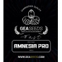 Fast Amnesia Pro