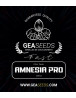 Fast Amnesia Pro