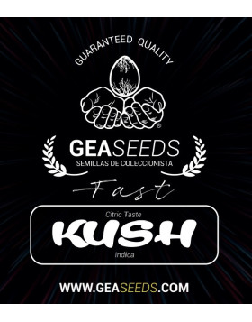 Fast Kush