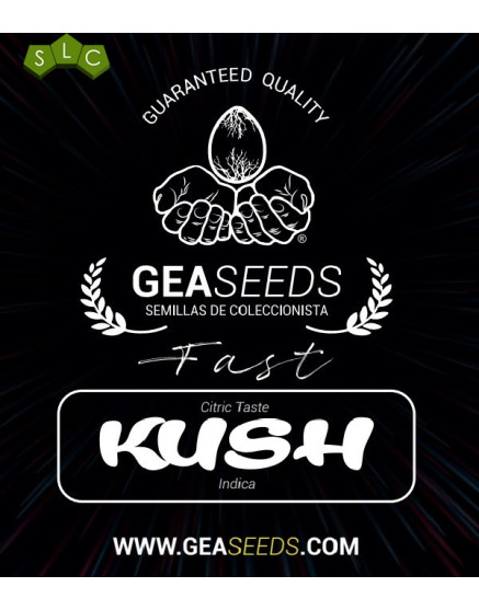 Fast Kush