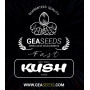 Fast Kush