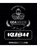 Fast Kush