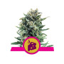 Blue Cheese