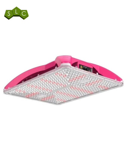 LED Cosmos de Vanguard hydroponics