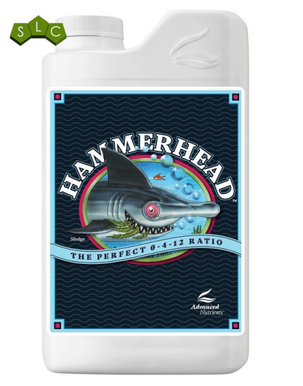Hammerhead
