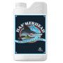 Hammerhead