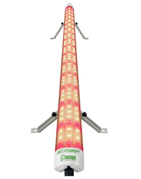 LED Under Canopy Barato - Lucius 120W | SemillasLowCost