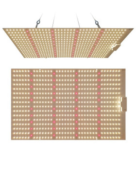 LED Quantum Board Barato para Cultivar [240W] - SemillasLowCost