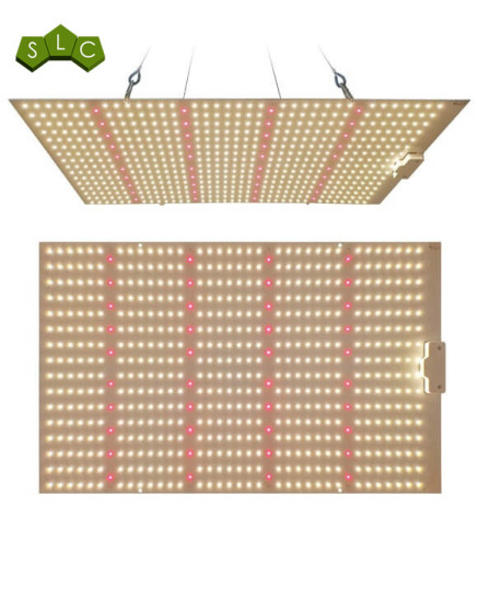LED Quantum Board Barato para Cultivar [240W] - SemillasLowCost