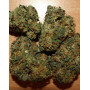 Comprar Semillas Fruity Chronic Juice - Delicious Seeds