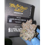 Tarte Tatin - Semillas Originales de Green House Seeds
