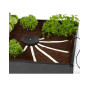 Comprar  Aquabox Spyder de Autopot (incluye accesorios)