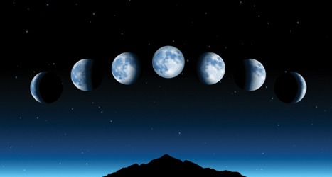 CALENDARIO LUNAR, ¿AFECTA AL CULTIVO LAS FASES LUNARES?