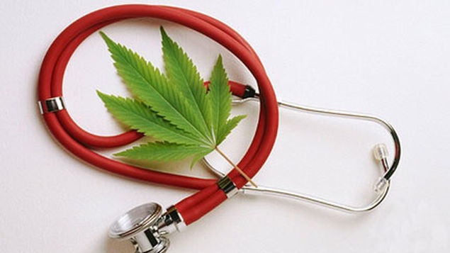 29 BENEFICIOS DEL CANNABIS QUE QUIZÁS DESCONOZCAS