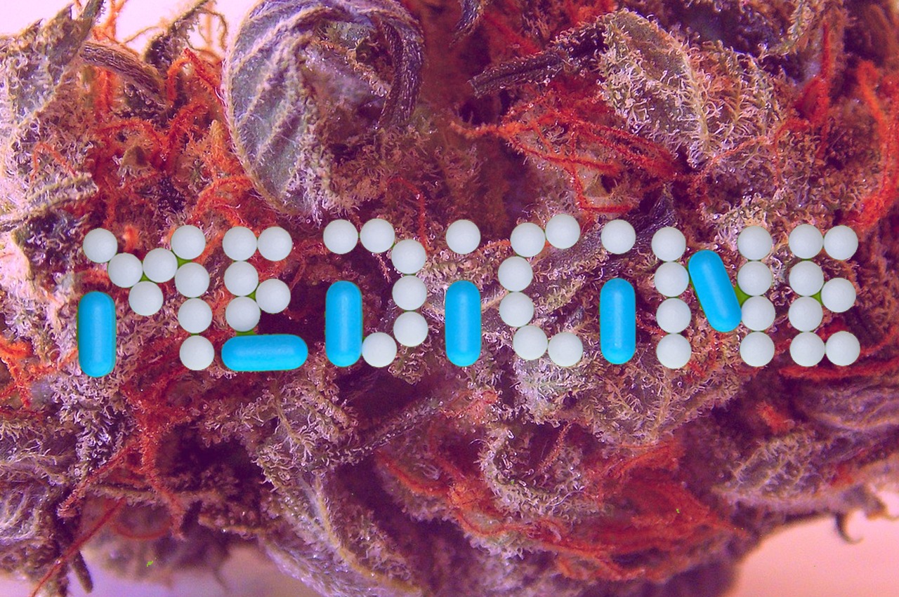 cannabis medicinal