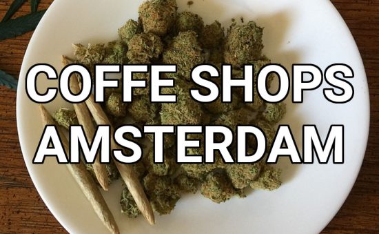 LOS 10 MEJORES COFFEESHOPS DE ÁMSTERDAM Y SU UBICACIÓN